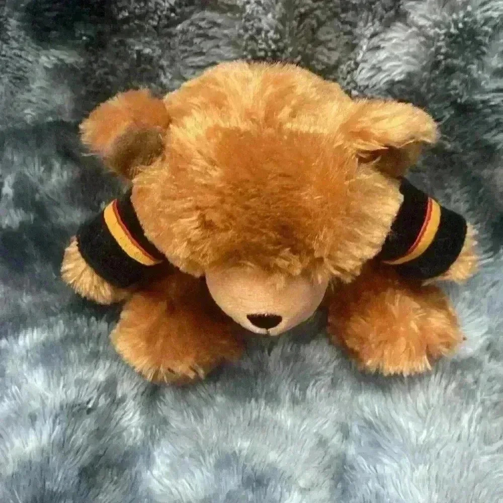 Vancouver Canucks NHL Hockey
Jersey Teddy Bear Plush by Forever
Collectibles - Picture 14 of 15